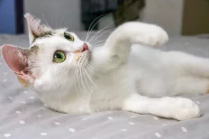 Bianca looking cute