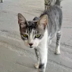 Electra looking skinny