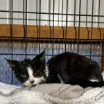 Luke settling in but still scared