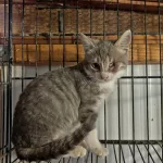 Sadly Luna’s left eye could not be saved.