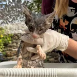 Luna’s first bath!