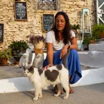 Volunteer at Syros Cats