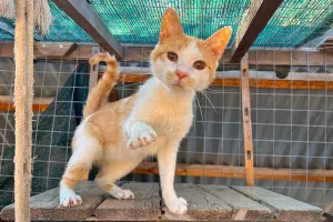 Fila is back to her playful self!