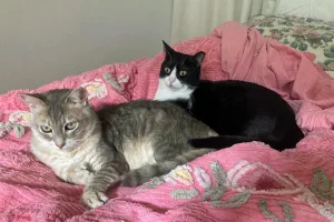 Snuggles with big sister SweetPea