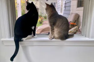 Visiting human grandma in New Jersey!